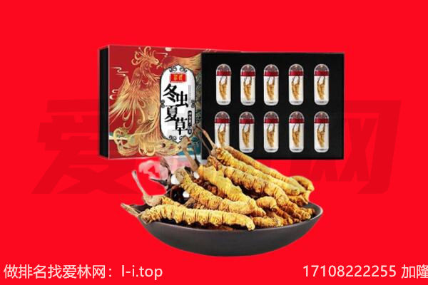 邢台回收虫草.jpg
